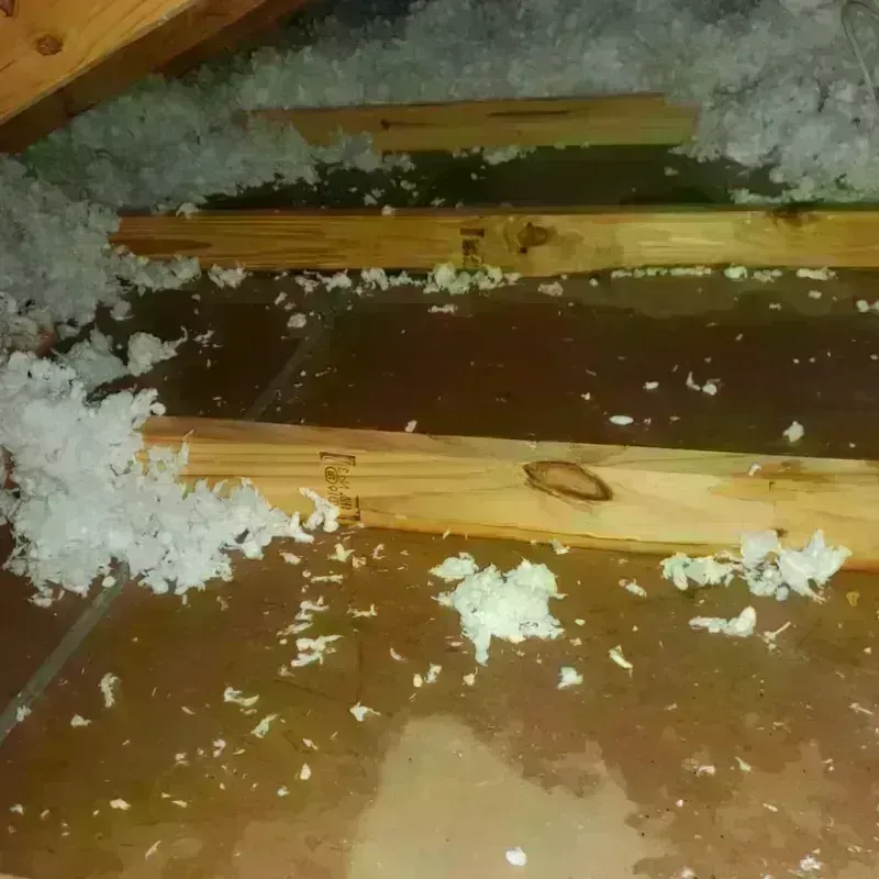 Attic Water Damage in Belle Plaine, IA